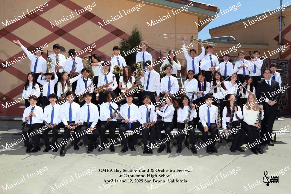 Musical Images